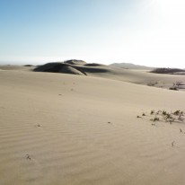 DSCN7800
