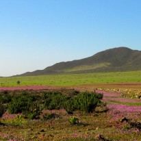 IMG_0165