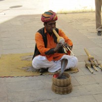 IMG_5556