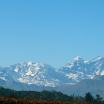 IMG_6565