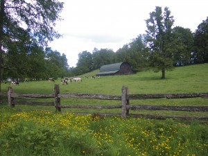 La granja