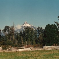 Scan 110790068