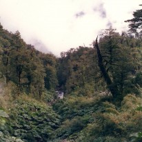 Scan 110820049