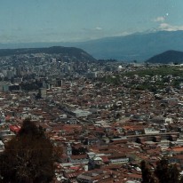 Scan 110850039