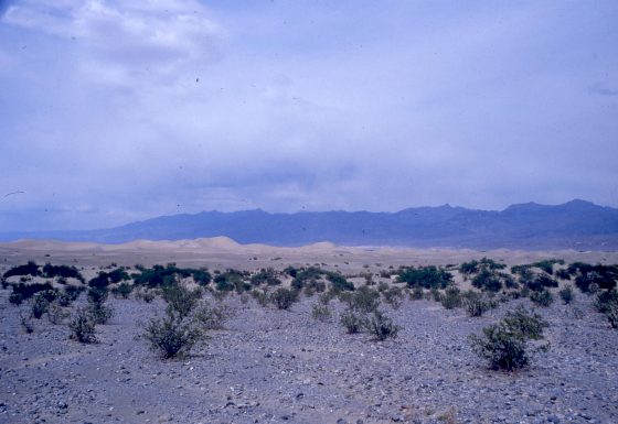 Valle de la Muerte, California