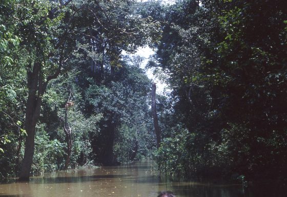 Río Amazonas, Brasil